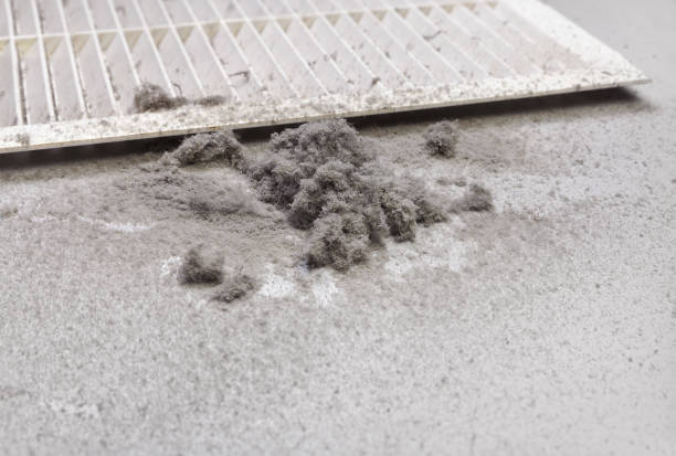 Best Best Air Duct Cleaning Near Me  in Forked River, NJ