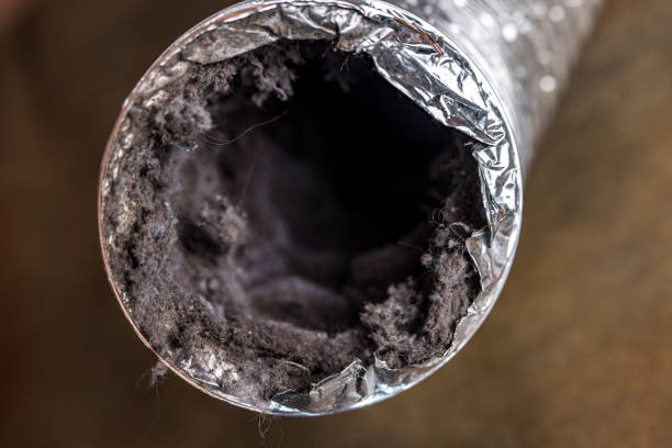 Best Dryer Vent Cleaning Services  in Forked River, NJ